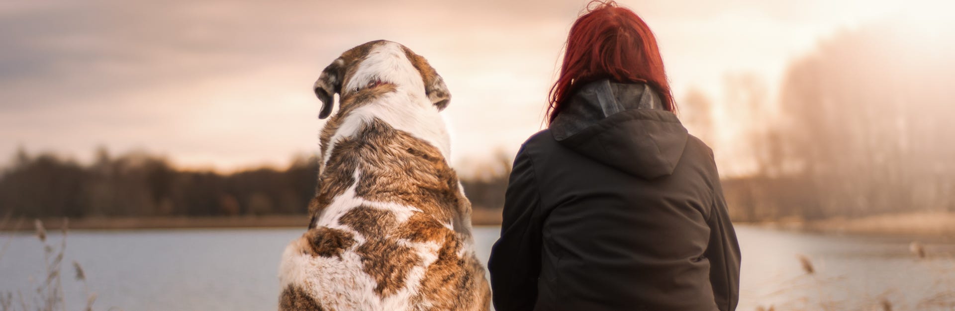 éducatrice canine trets